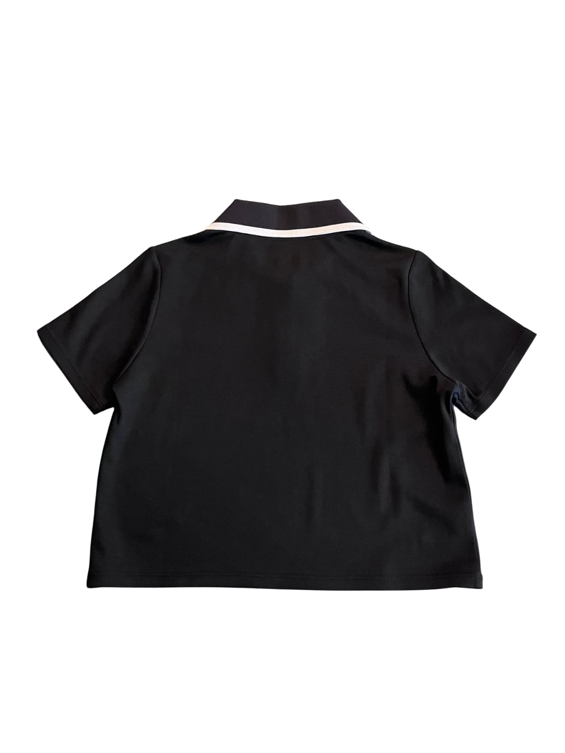 Ladie's セットアップポロシャツ